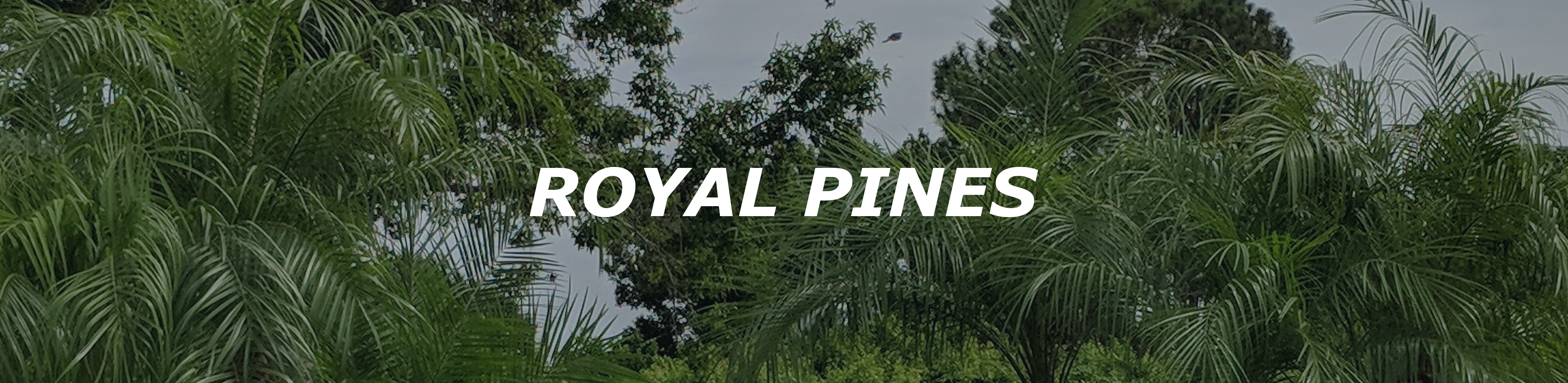 header-image